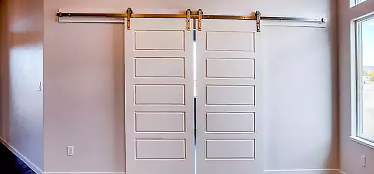 Glass Barn Door with Installation Hardware Kit Rocky River