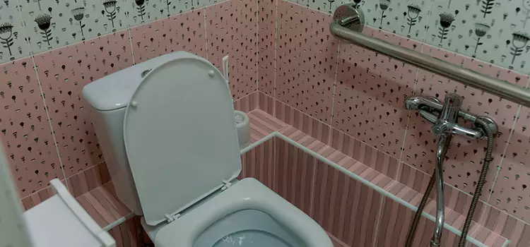 Meeting Diverse Needs With Accessible Restroom Solutions in Rocky River, OH