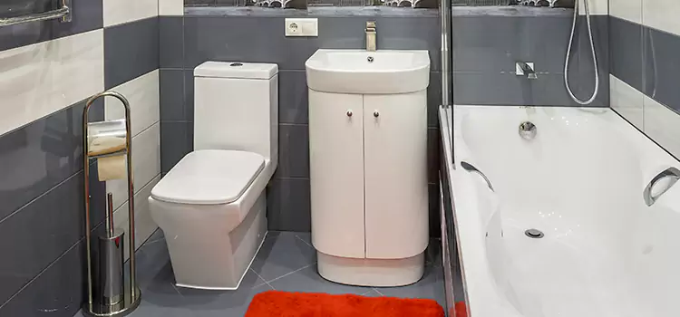 Hansgrohe Shaving Mirror Rocky River
